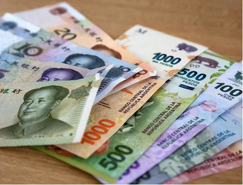 人民幣的國際身份 從“人民幣”到“貨物及技術進出口”